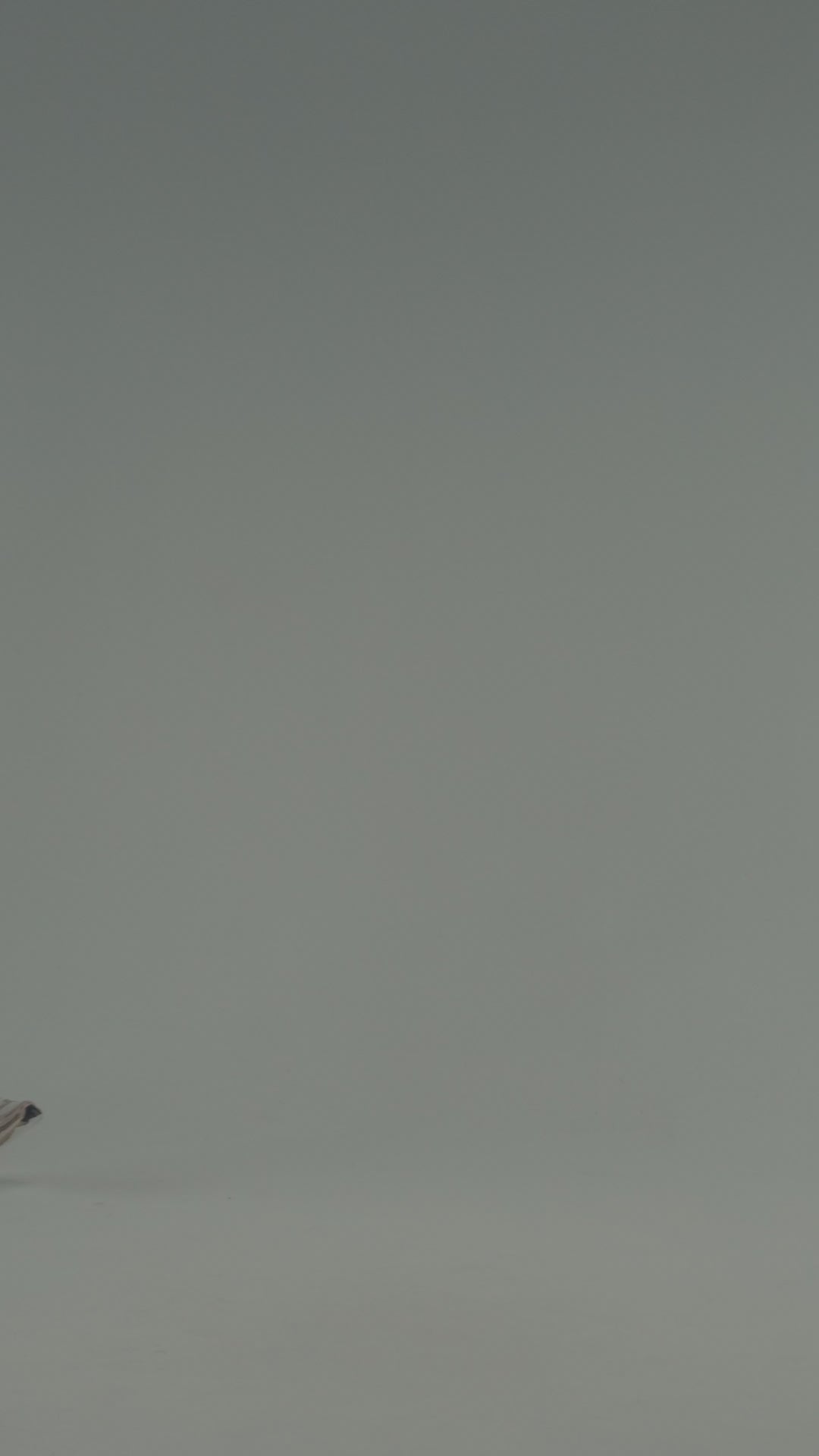 PRIME REGULAR FIT FATHER T-SHIRT