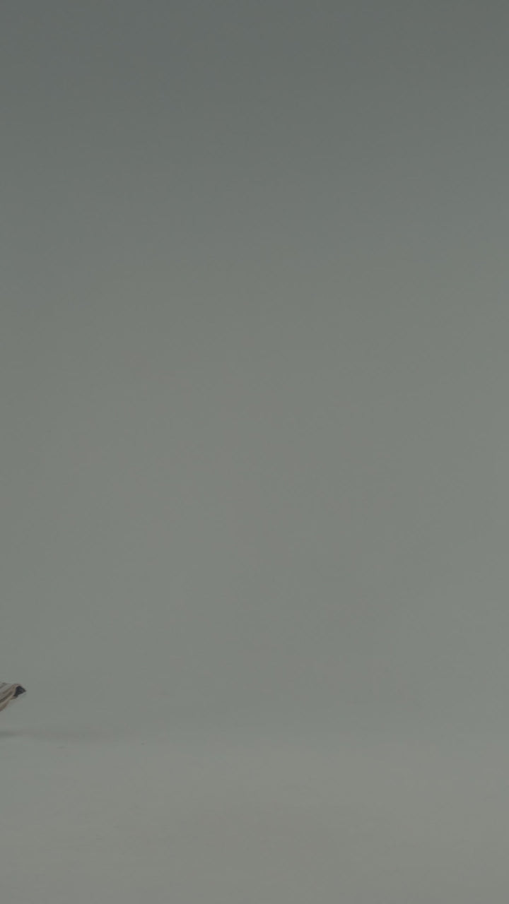 PRIME REGULAR FIT FATHER T-SHIRT